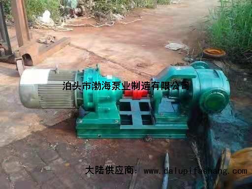 河北沧州渤海泵业制造有限公司燃油箱副油泵便宜